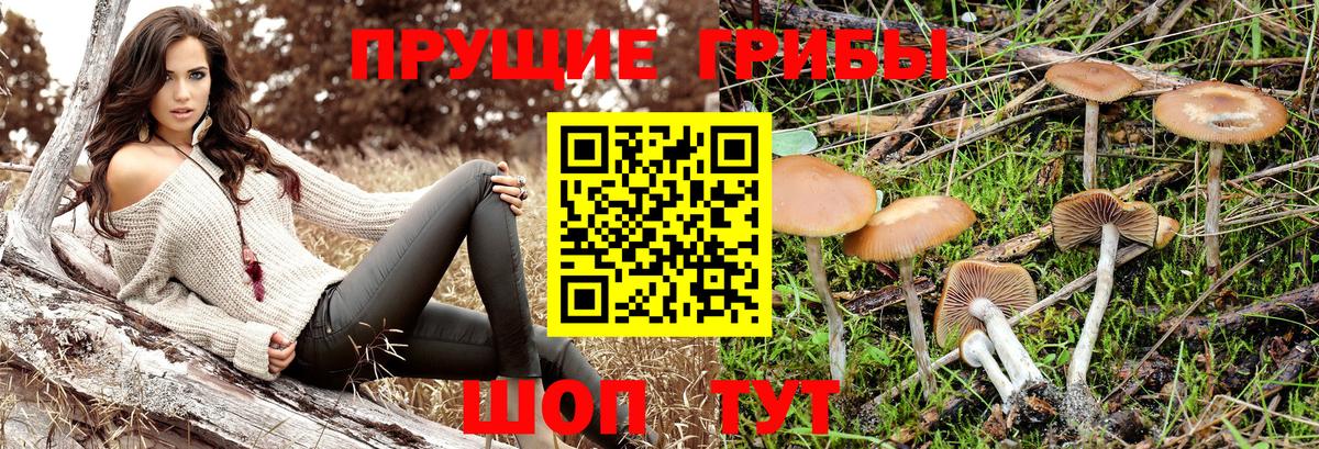 Трёхгорный  Галлюциногенные грибы прущие грибы  Вход с VPN 